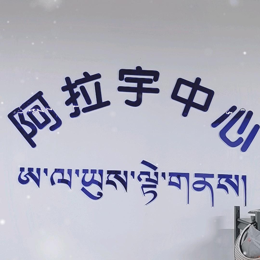 西藏小考中考（阿拉宇）