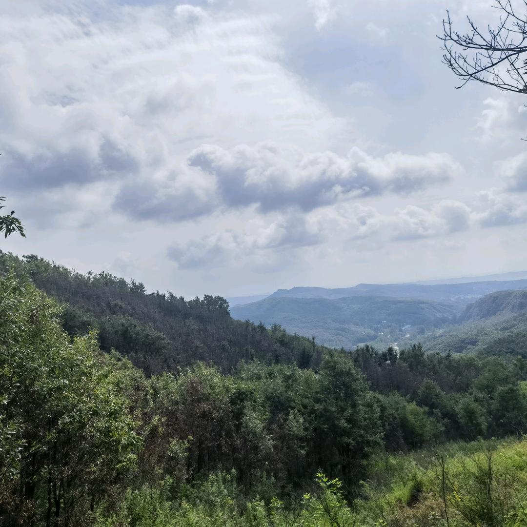 超子家甄选农产品