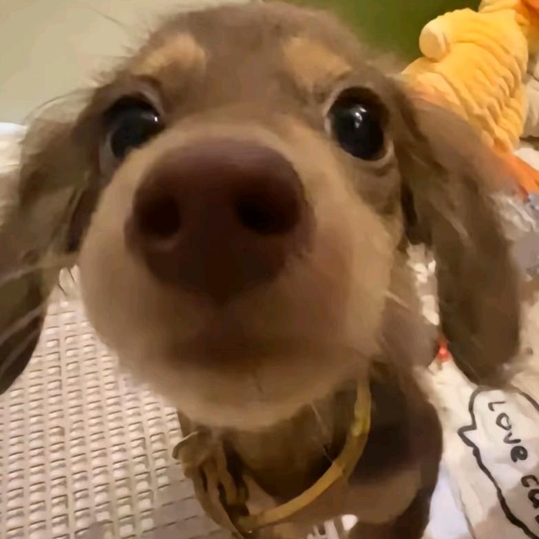 眠૮⌯'ㅅ'⌯ა