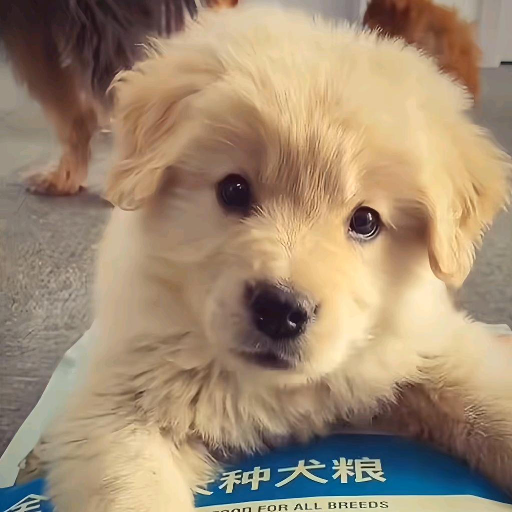 原味薯片