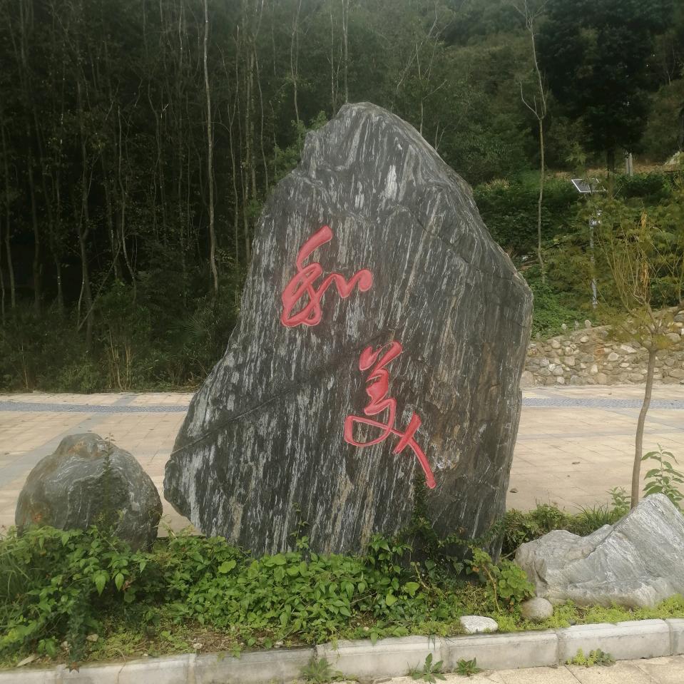 刘哥。