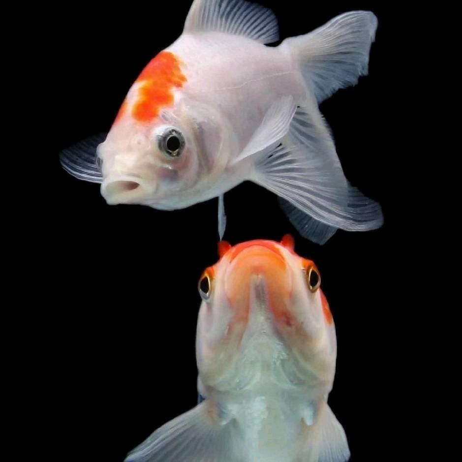 随老妈姓黄👩‍❤️‍👩