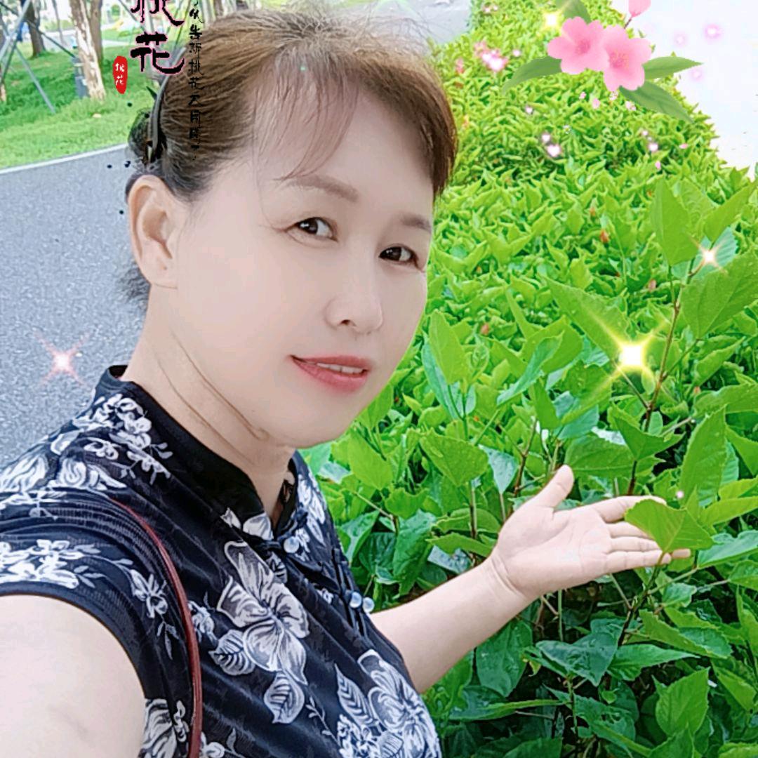 《思念🐰🌟》