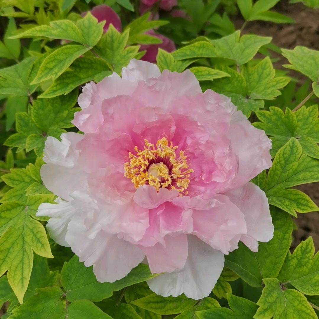 人民币说了，你努力了吗！💐了我。