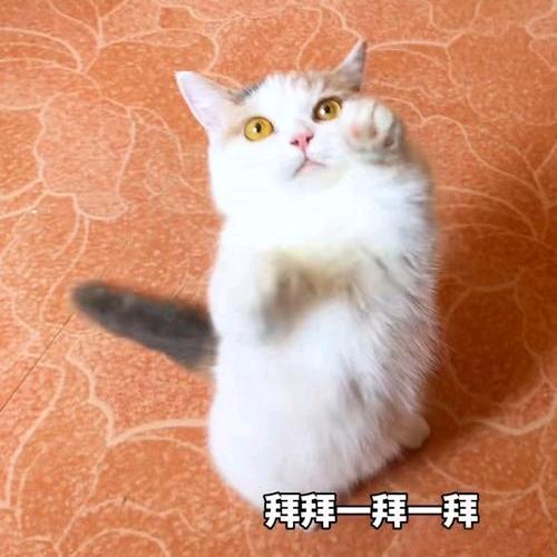 ,,,