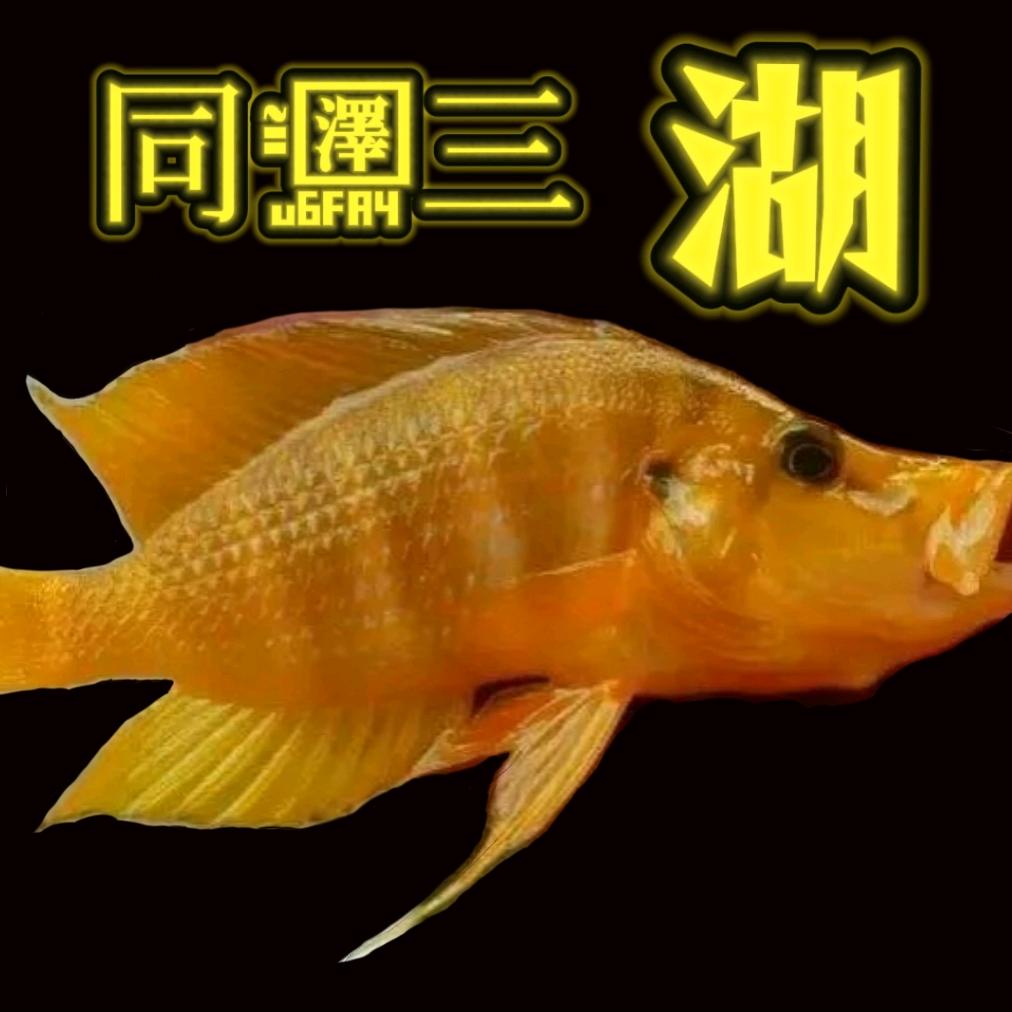 同泽三湖