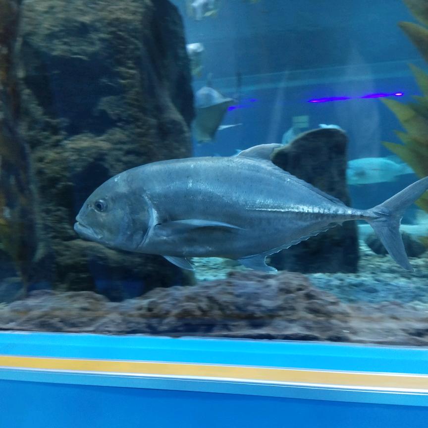 💞᭄꯭習慣ོꦿ有你ོꦿ💕