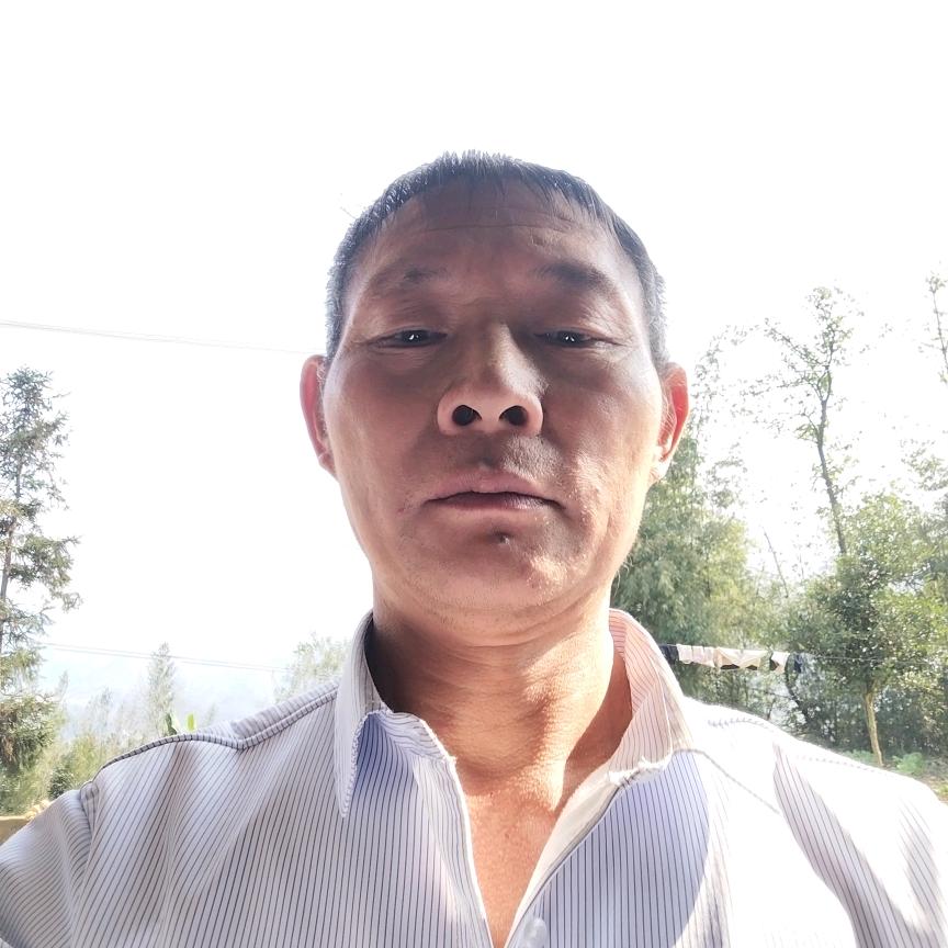 八月中秋桂花香