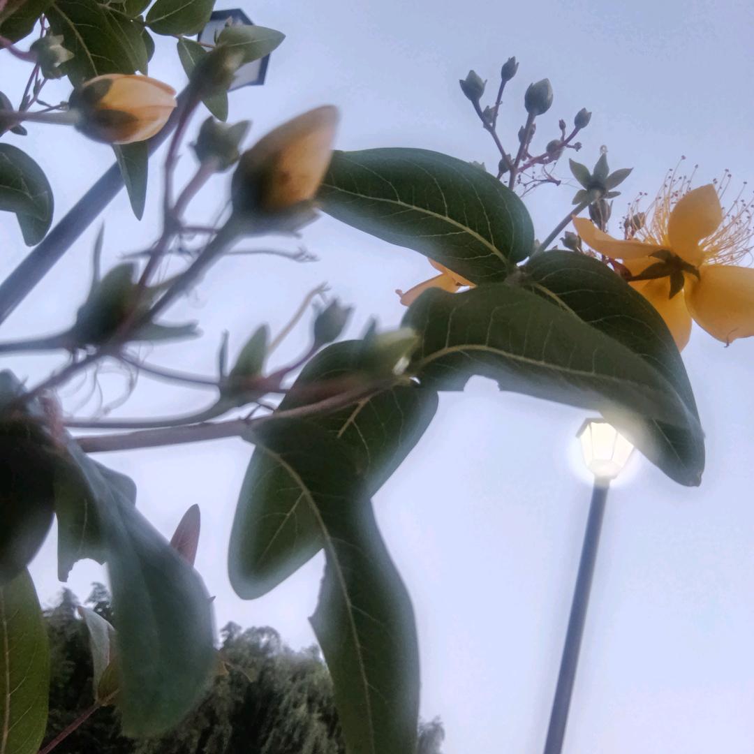 🍀王~不留情💞