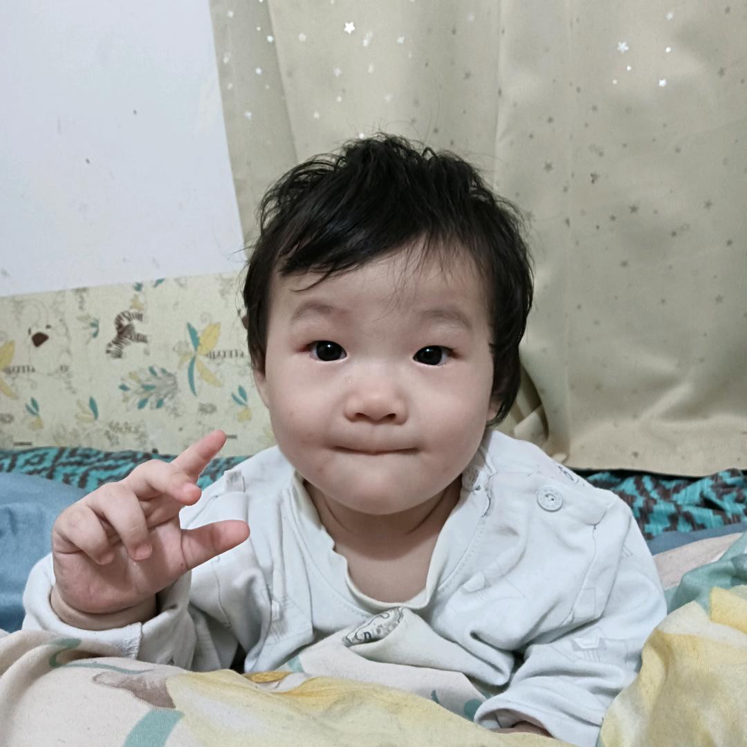 书画
