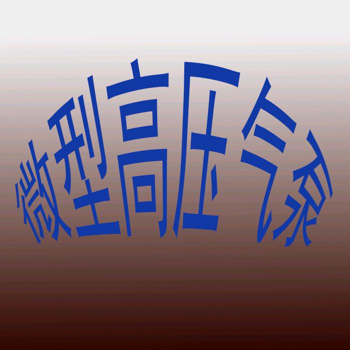 沃尔姆微型气泵