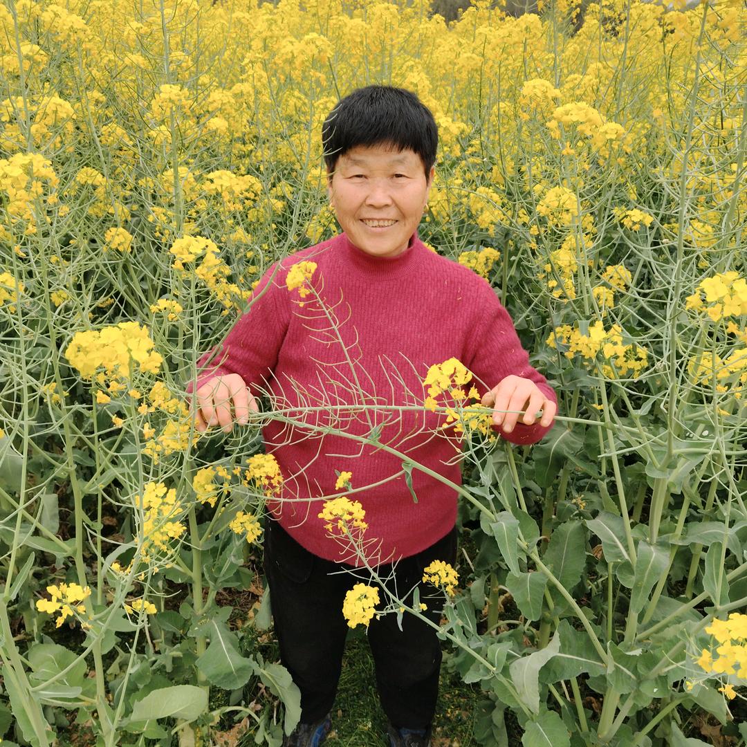 杨大姐，，每天下午一点十分开播