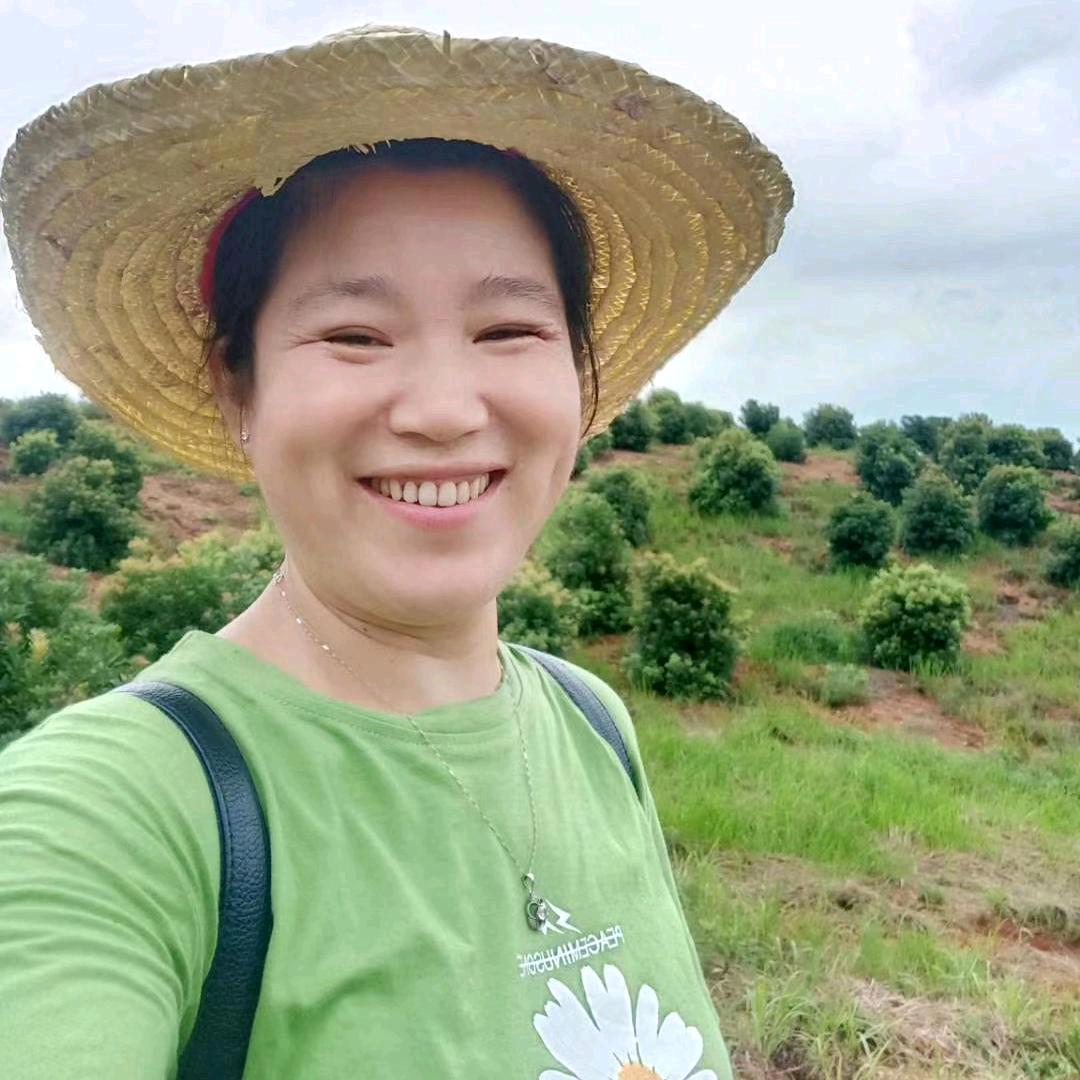 天边的云（礼尚往来）