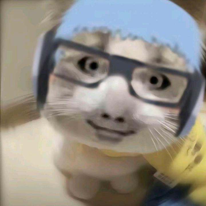发发发