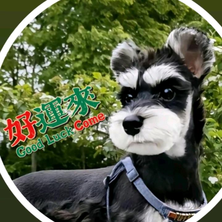 文玩迷陆哥