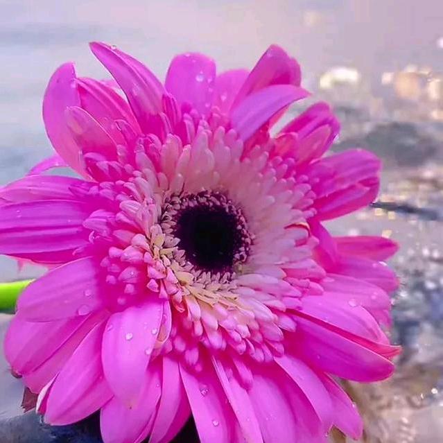 开心才快乐