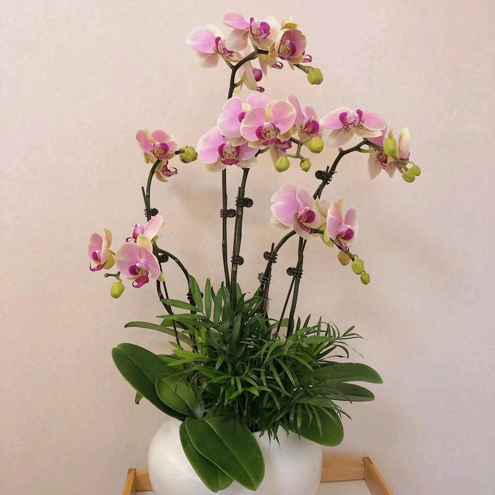 碎碎念