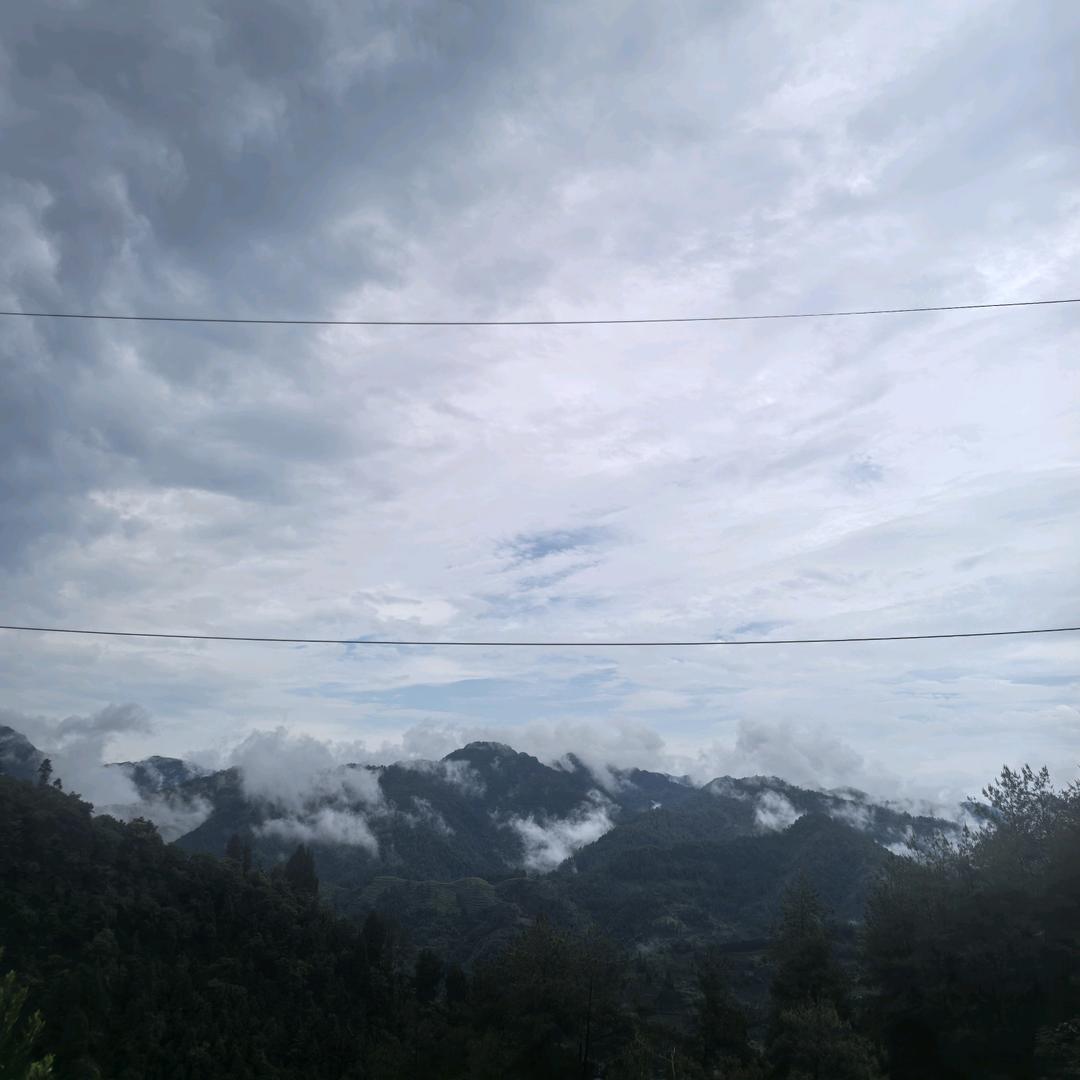 377467313
