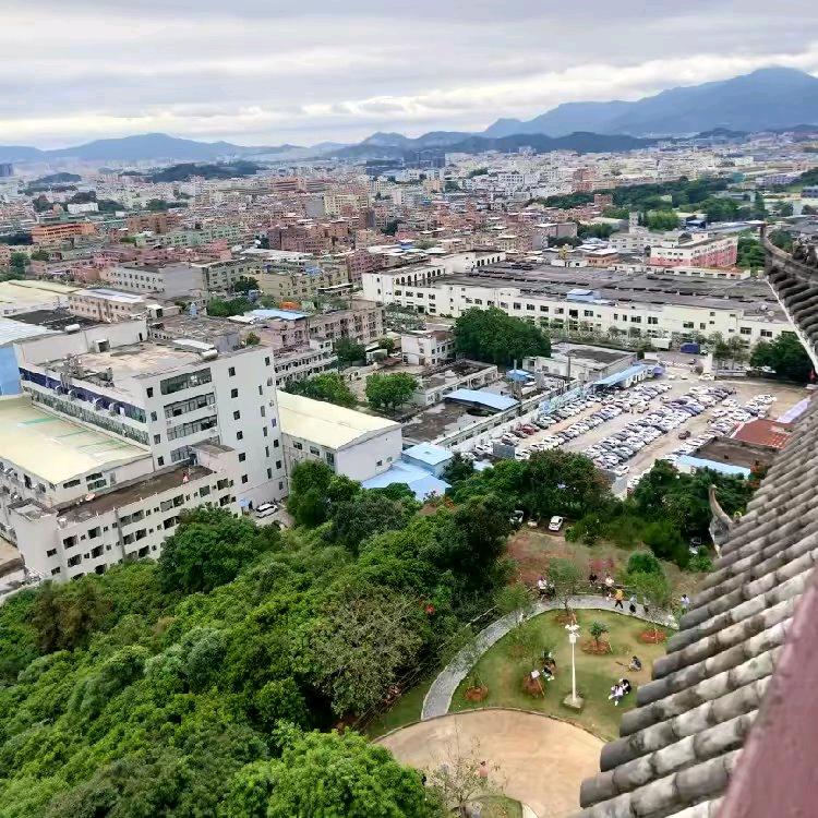 💕🦋ꦿ໊余生᭄🕊随心᭄ꦿᩚ٭