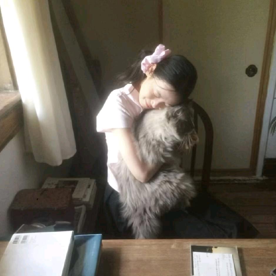 小恐龙被收了🌷🍂