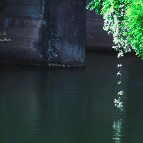 我经历过的爱。