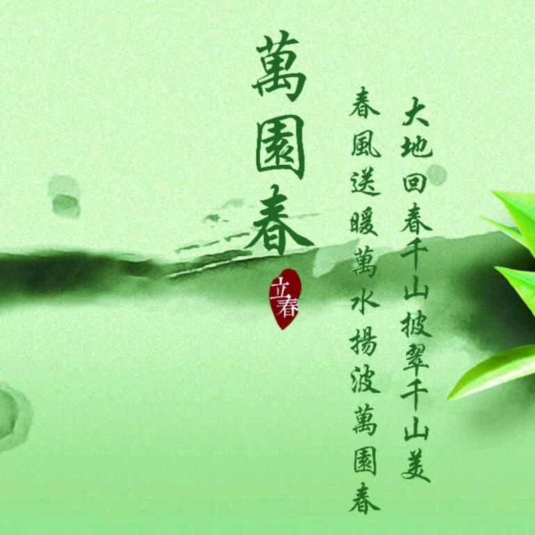 日照绿茶万园春茶业