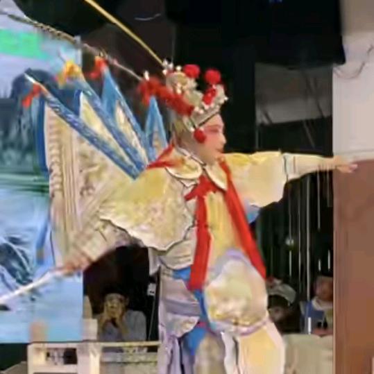 杨宏展芗剧演员