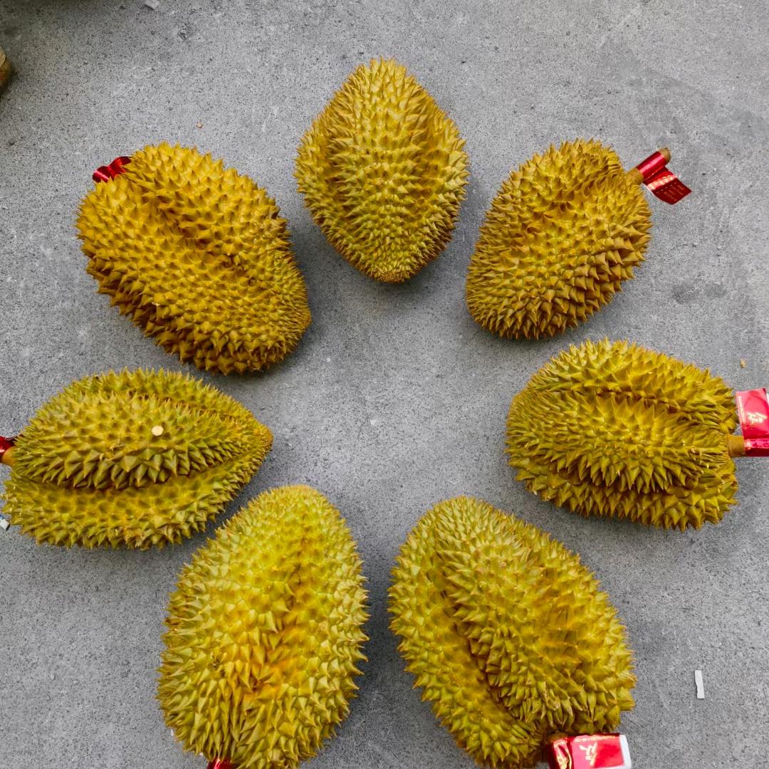 青春如诗