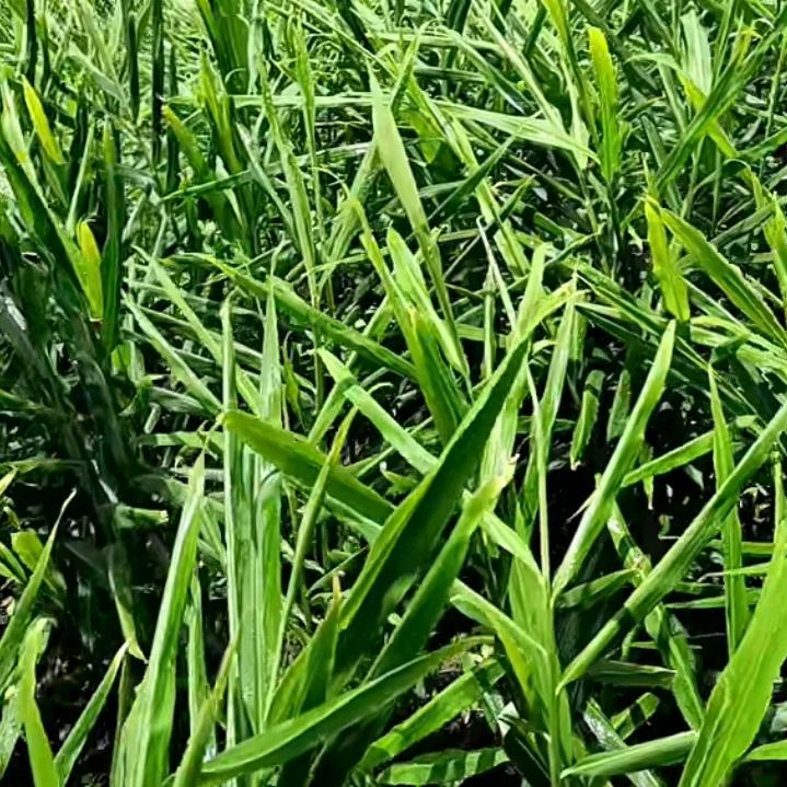 万物废旧回收