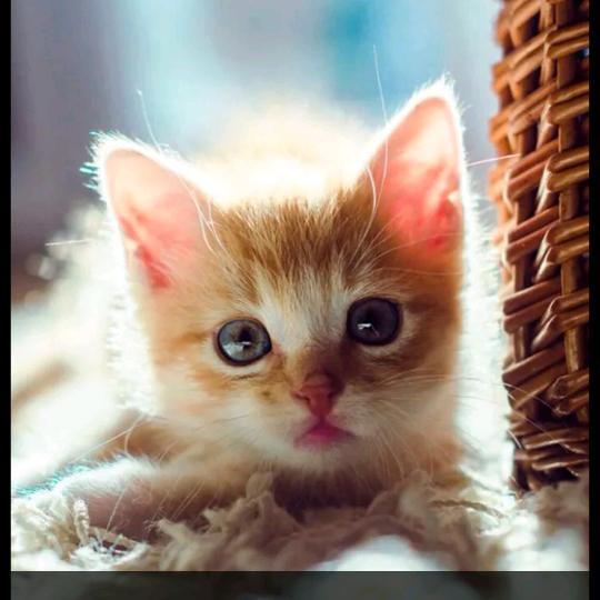 A文化路联通小李