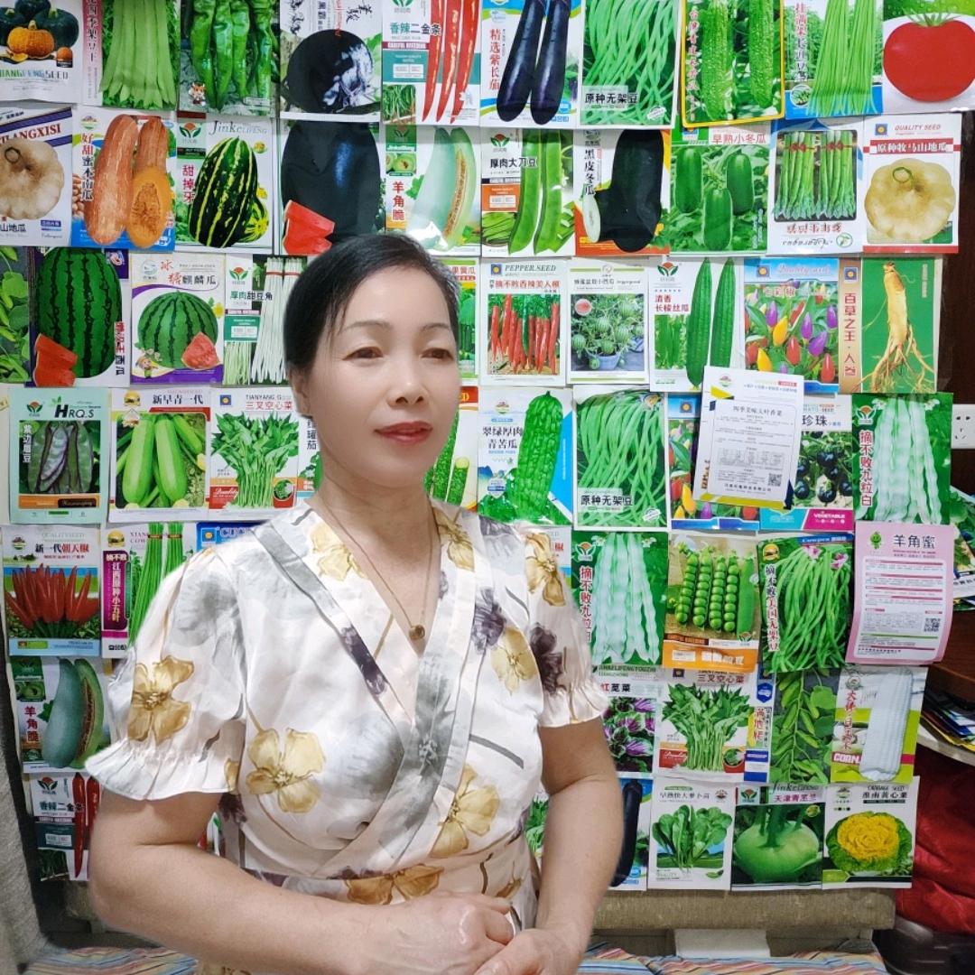钟钟小菜园