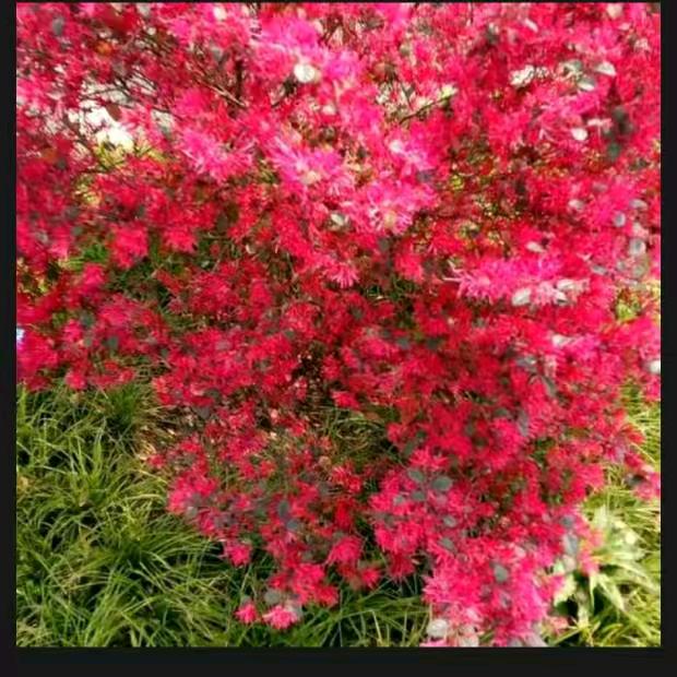 小胖的生活记录号@抖音