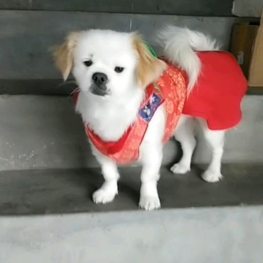 🇨🇳妞妞🍎🍊