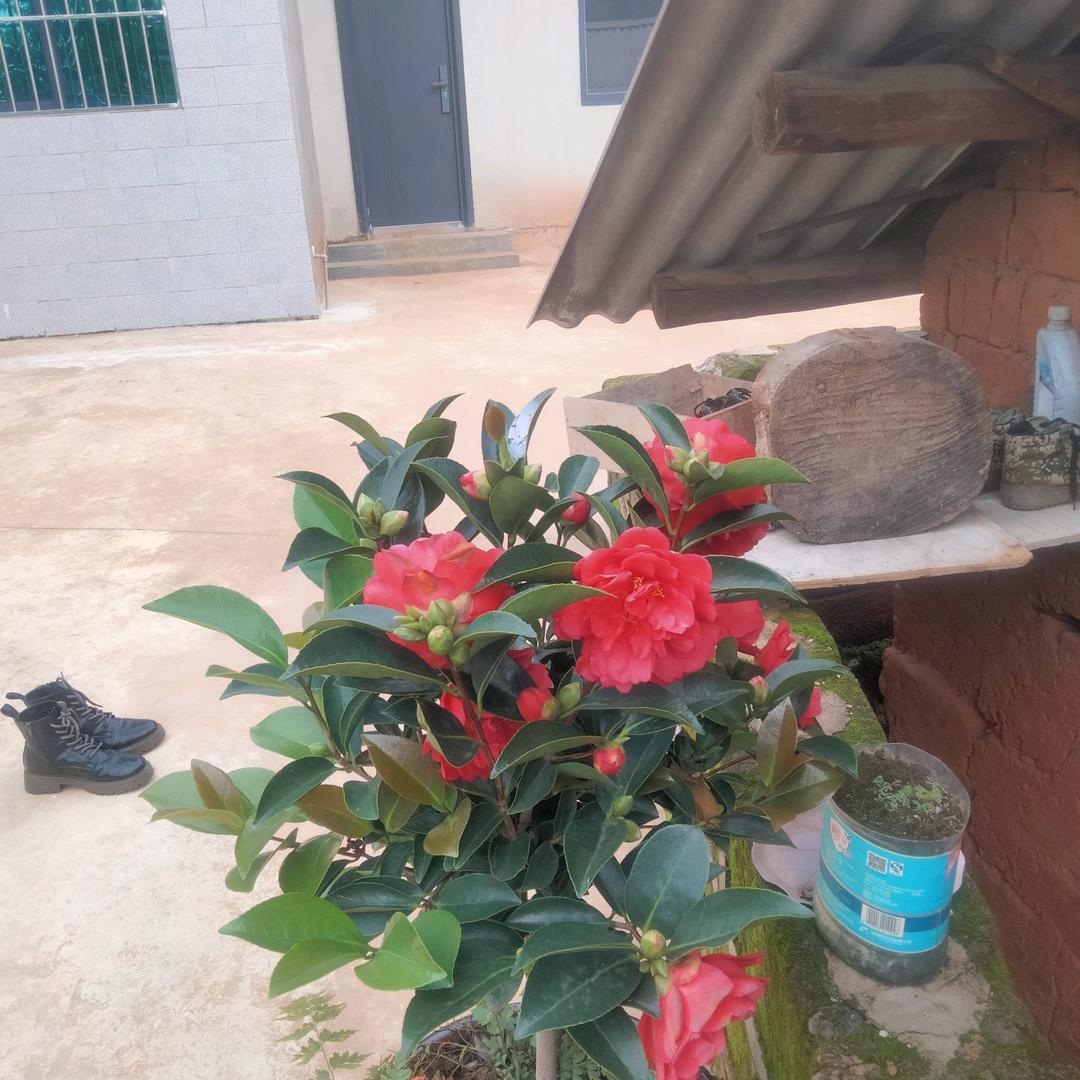 不苦不累 生活无味