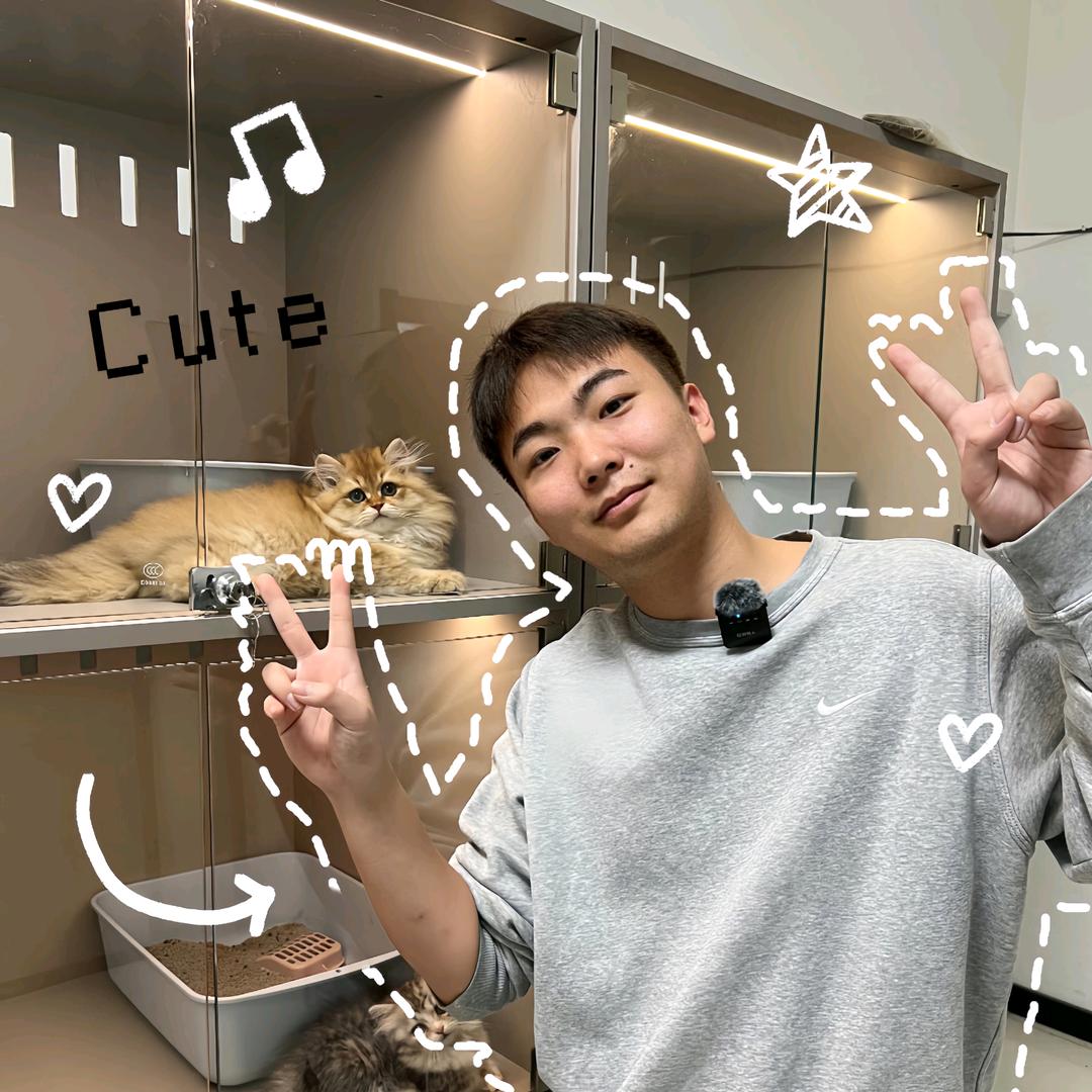 阳仔的矮脚猫
