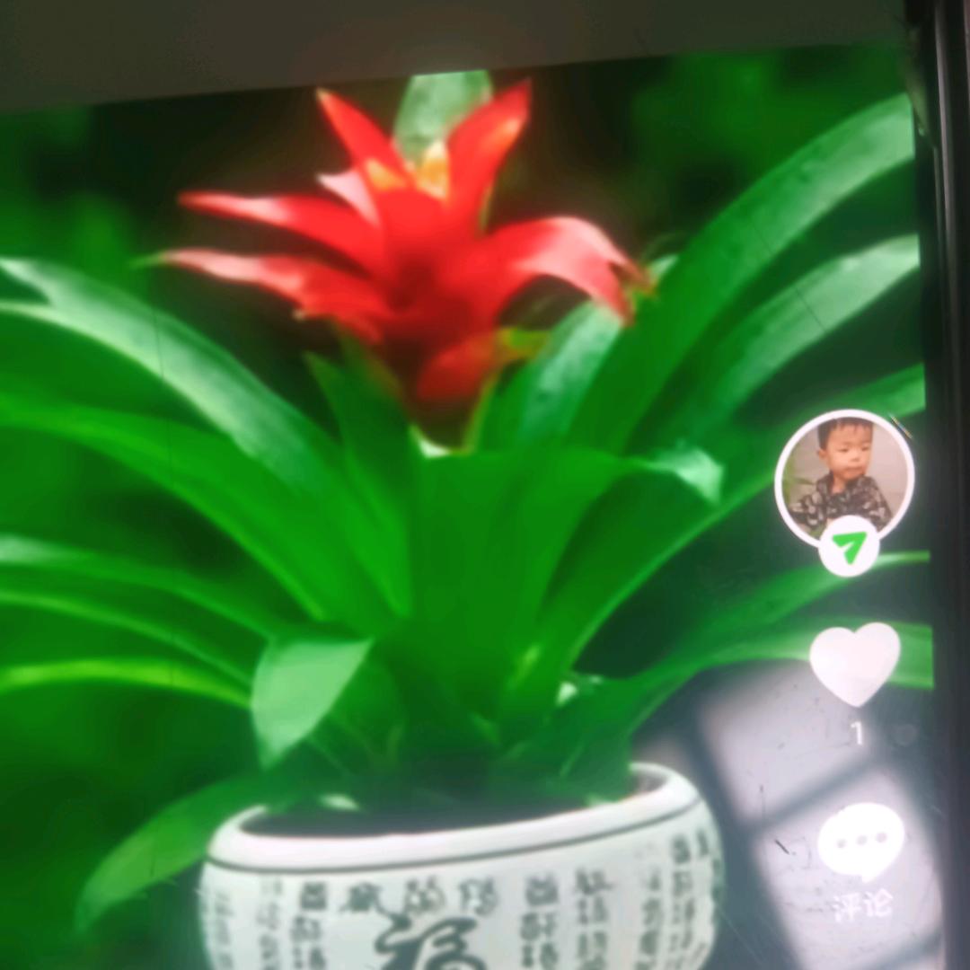 我在家等你