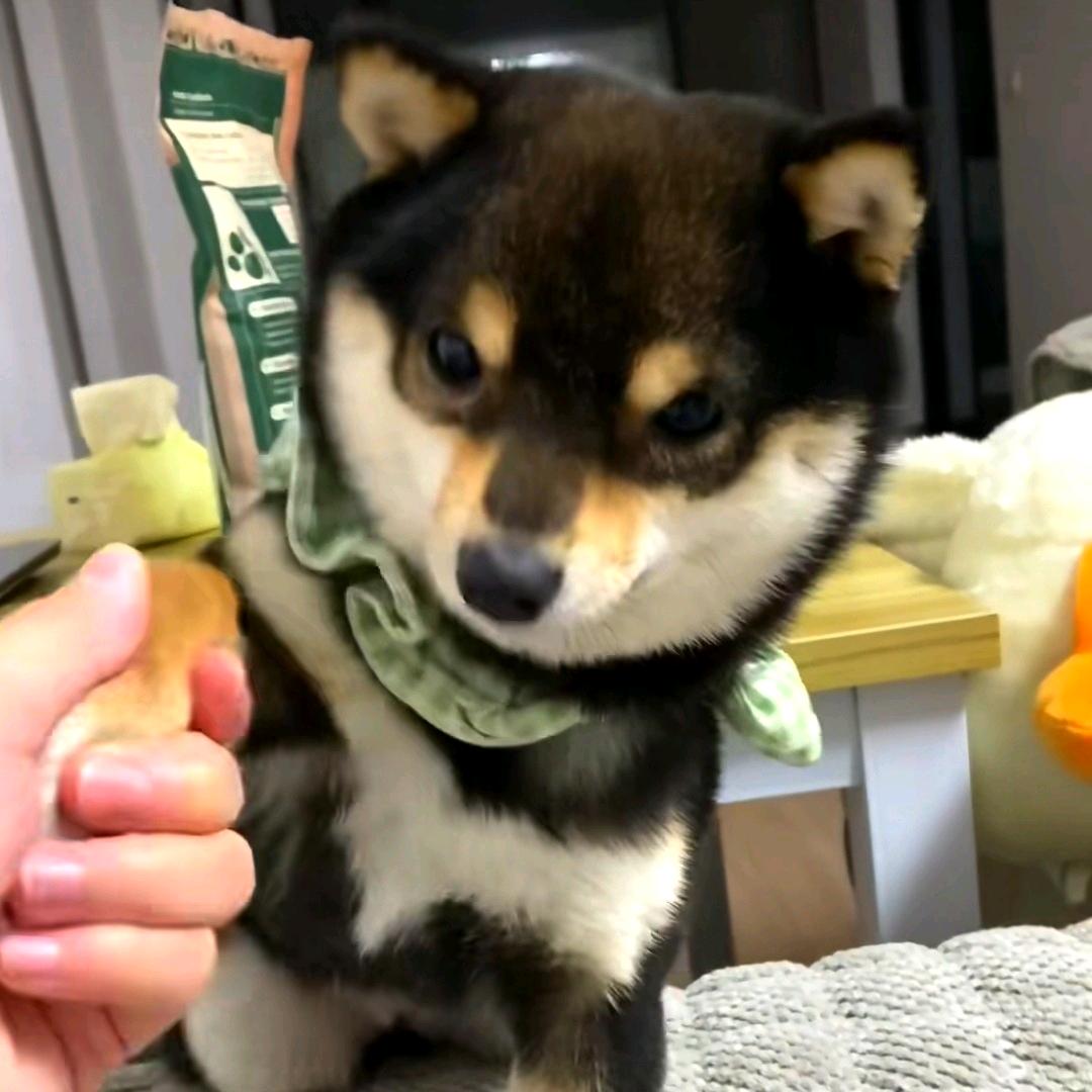 EthaN不玩抖音