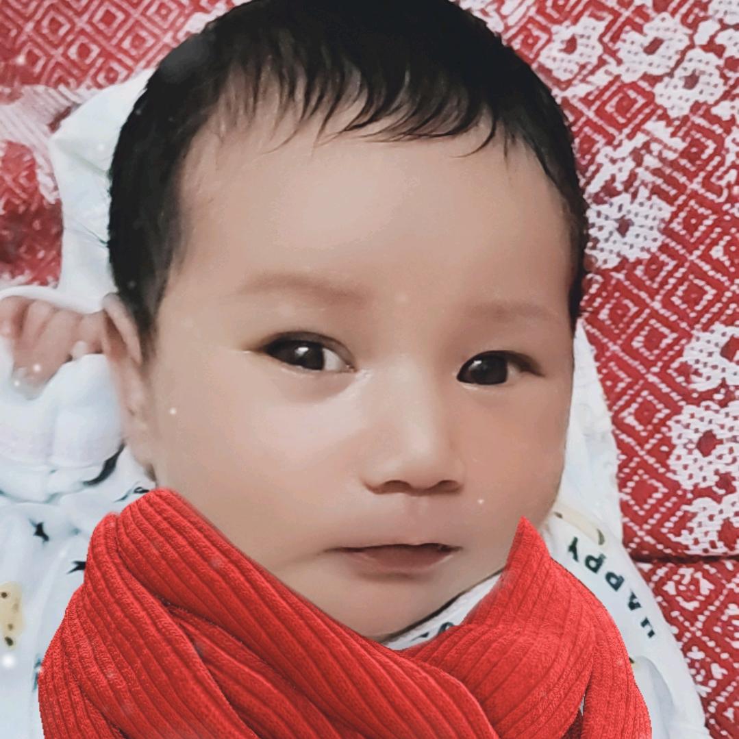 蔡婷莹