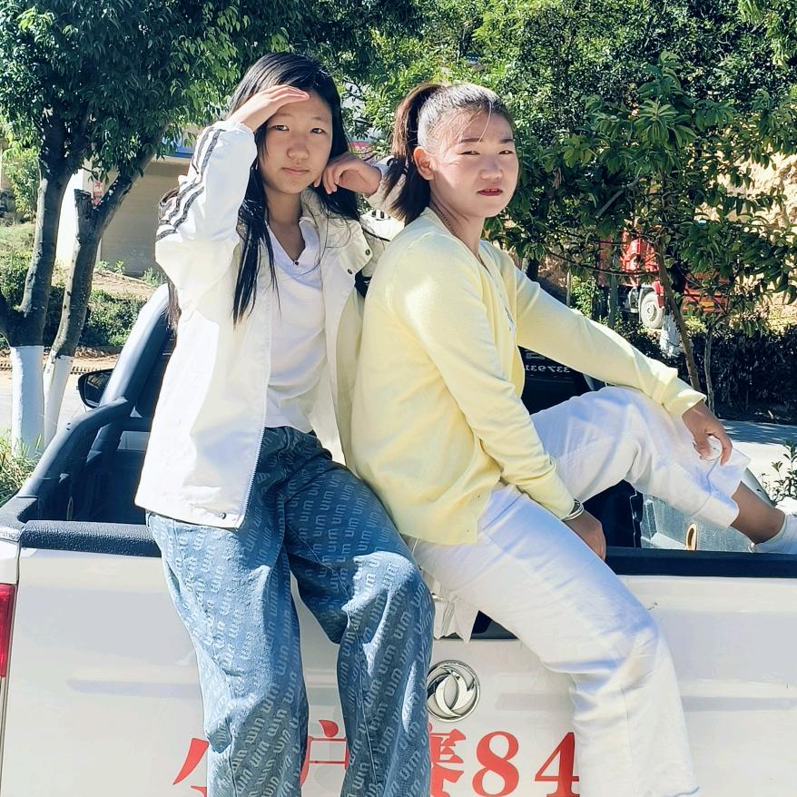 小户赛84号茶叶四姐