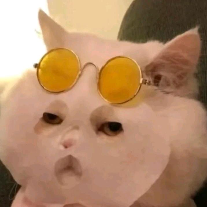 米耀迪