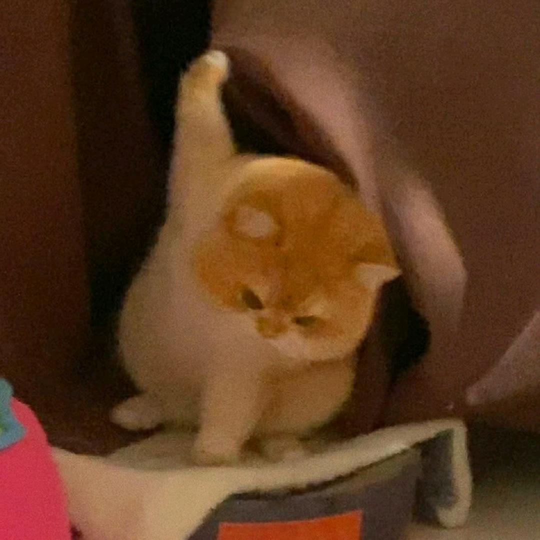 不晚