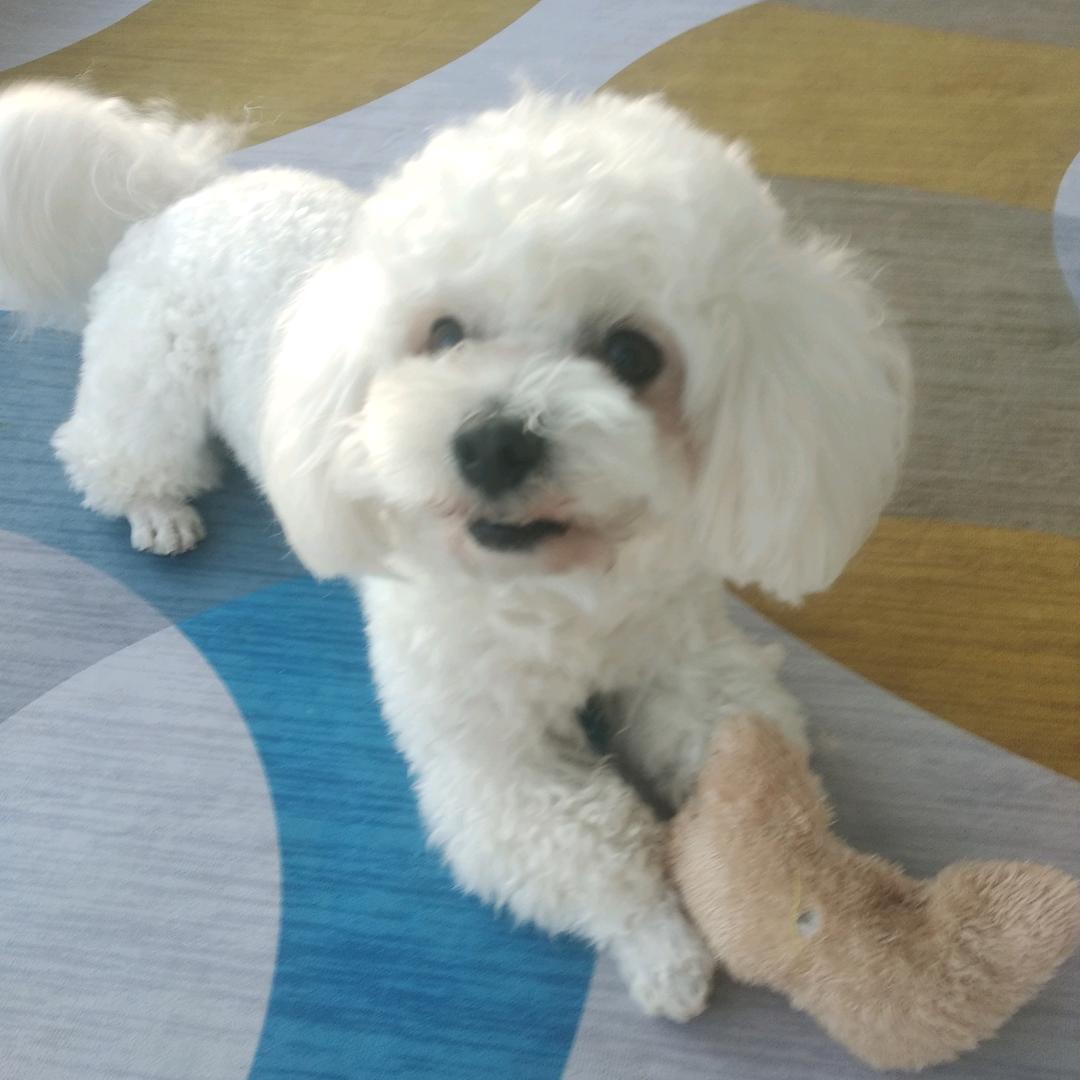 匚匸凵冂fangxikanjiong