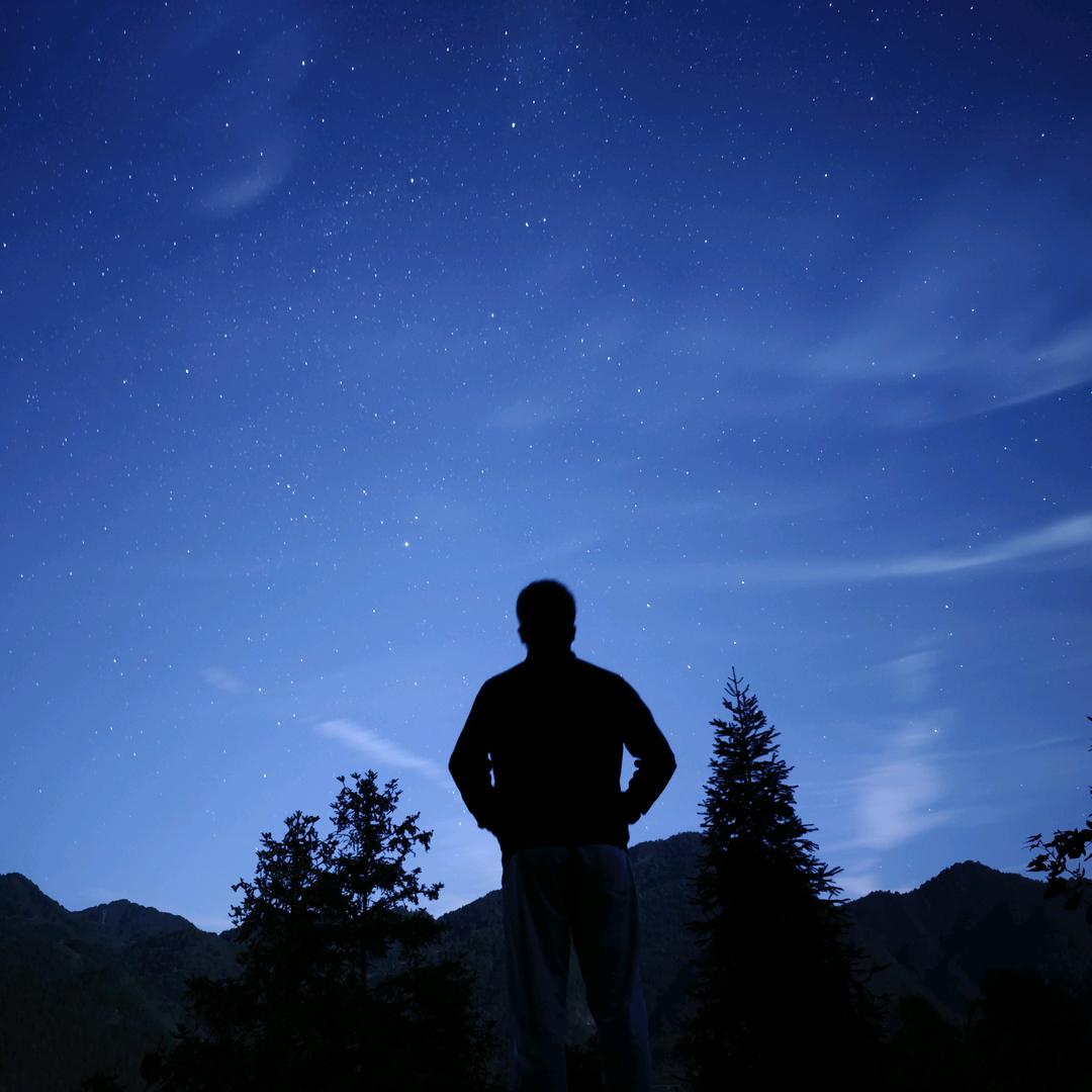 吴皇万岁万岁万万岁　      　༽