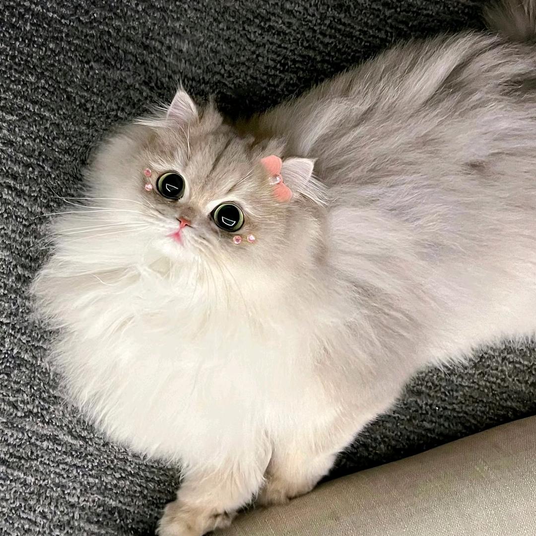 酸奶疙瘩🌈（k8版）