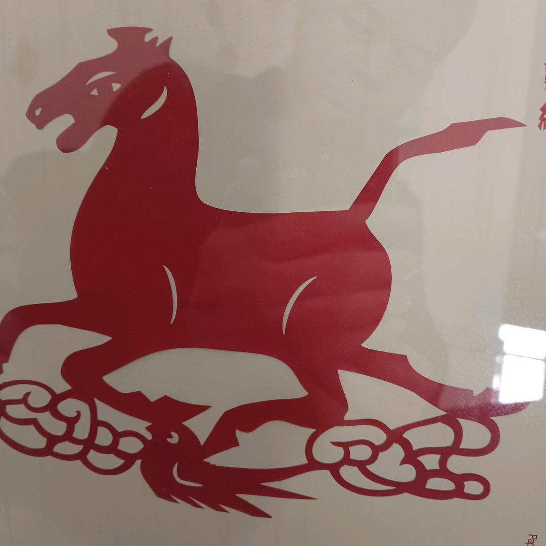 云龙飞驾