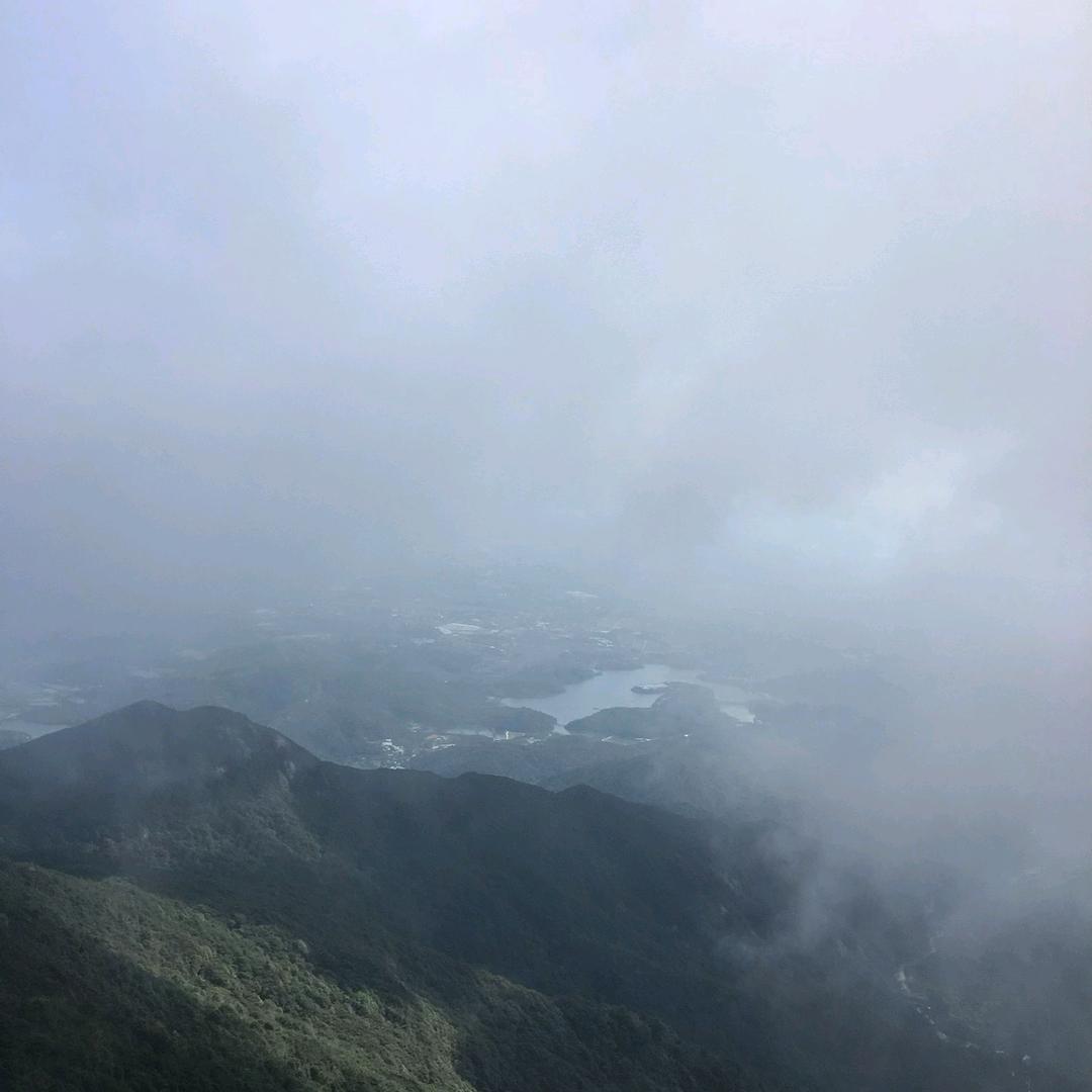 愿得一人心