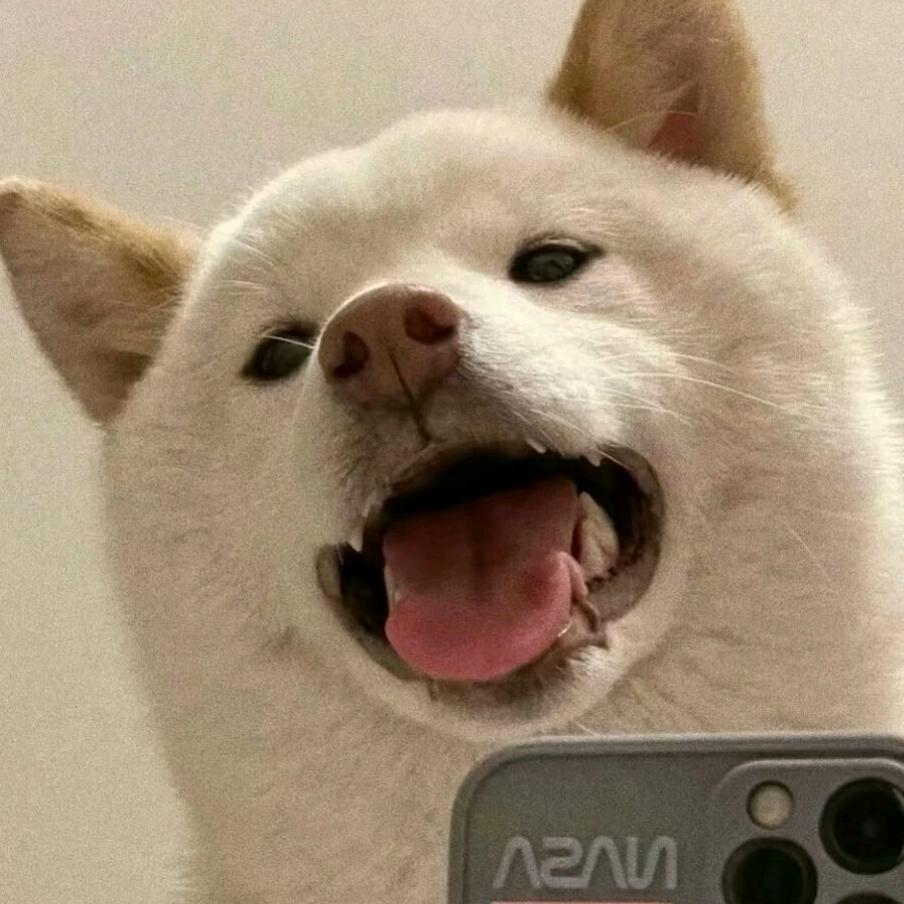 心软的陳