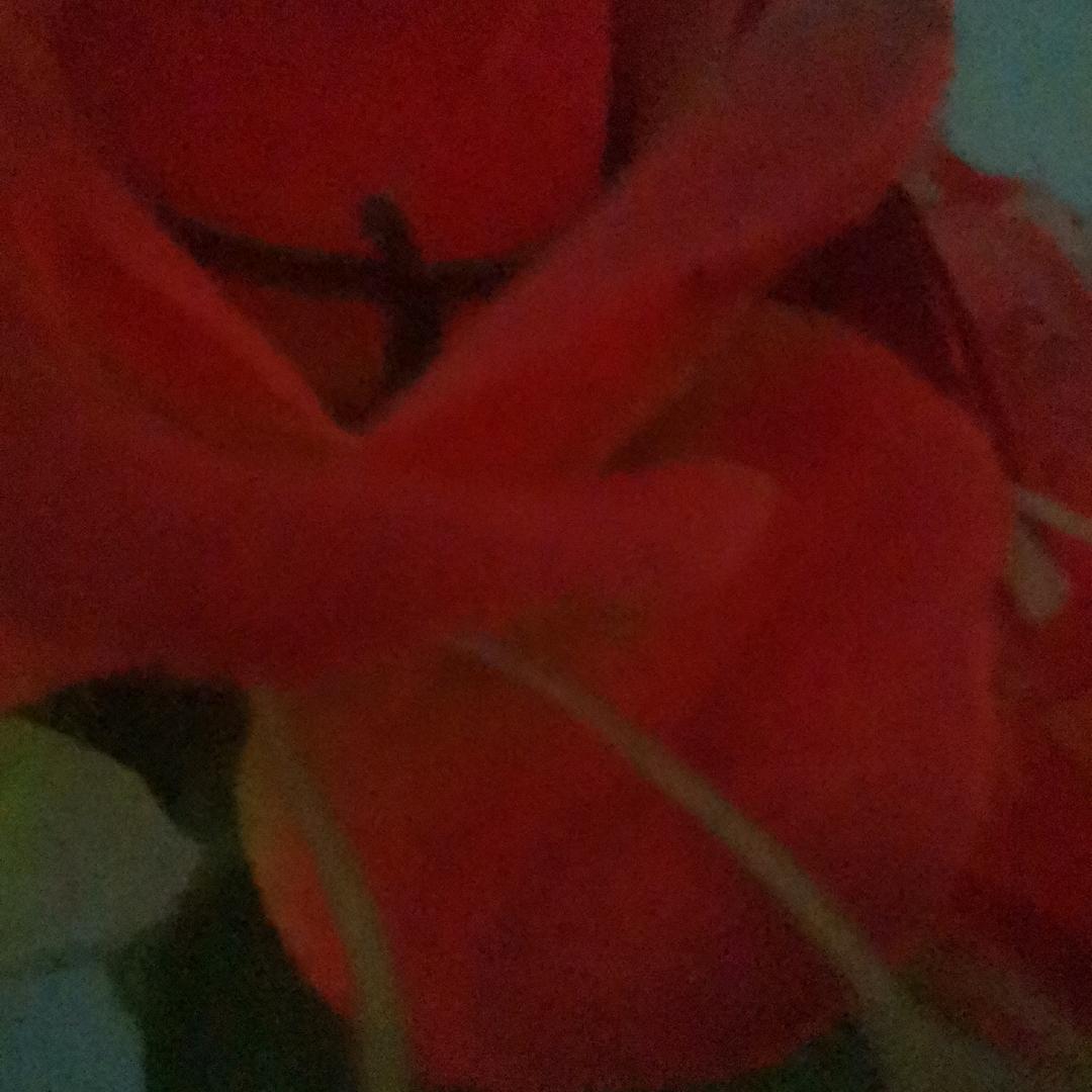 用户5231852436897