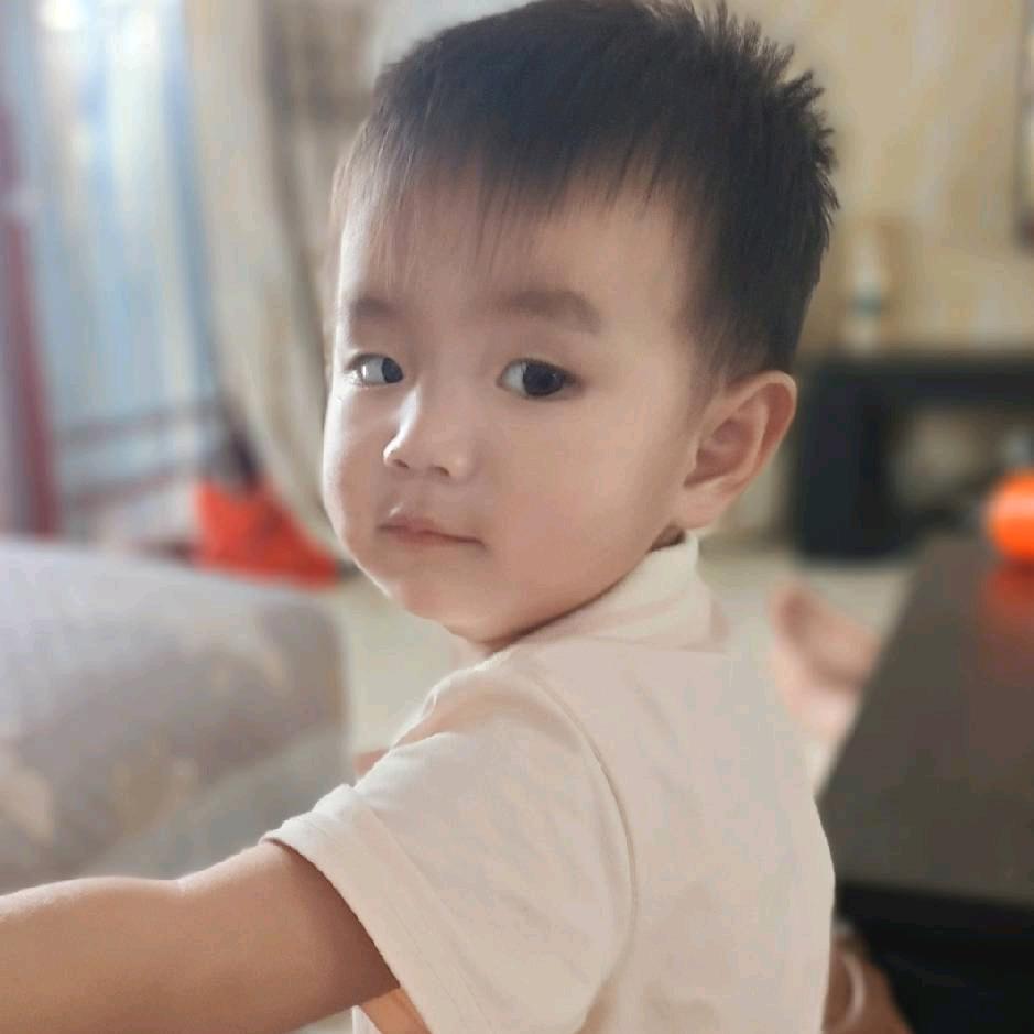 wly小燕子