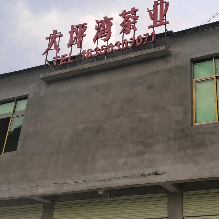 大坪湾茶业